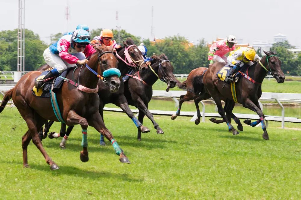 Courses hippiques – Obstacle (30 septembre)